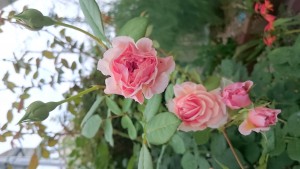 14357952964242105482410