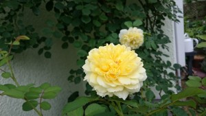 14357953849921666829482